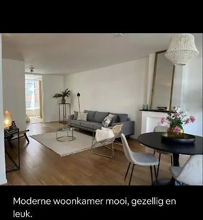 Beautiful Apartment With Balcony And Wifi Amsterdam Center Daire